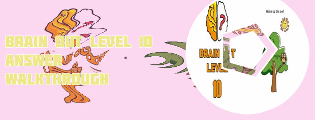 Brain out game level 10