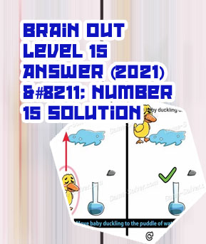 Brain out game level 15