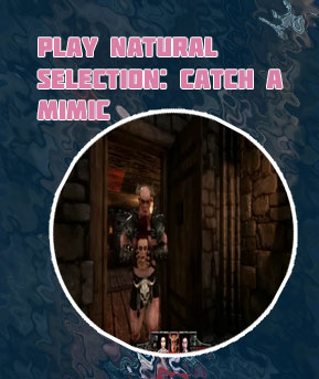 Catch games