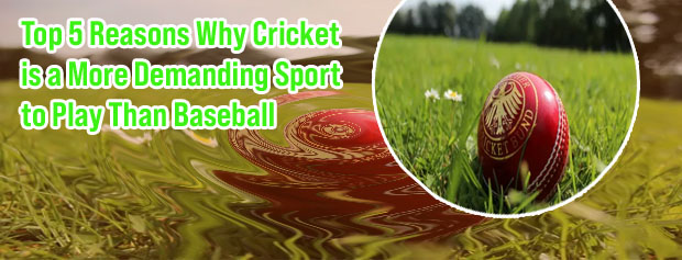 Cricket ball game