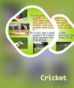 Cricket game rules